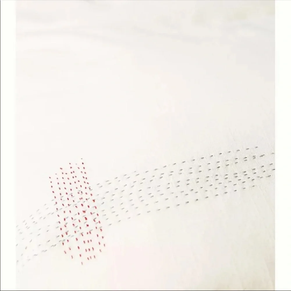 New Anthropologie Embroidered Hildegard’s Duvet Cover King